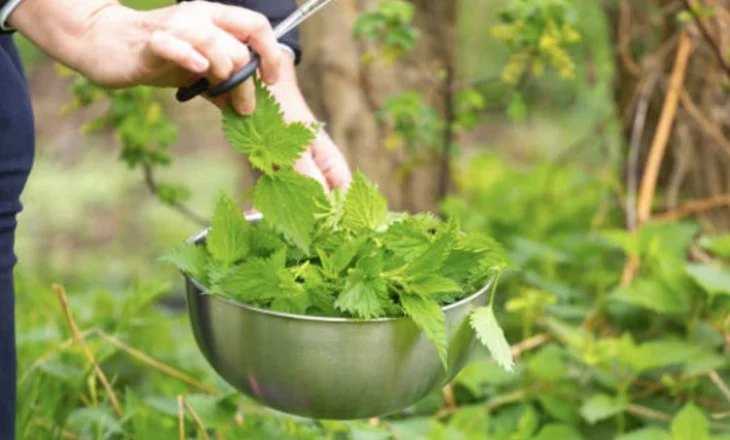 Hithra me limon, trajtimi natyral kundër anemisë