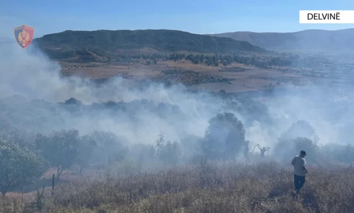 I vuri zjarrin një sipërfaqeje toke me ullinj, vihet në pranga autori i dyshuar