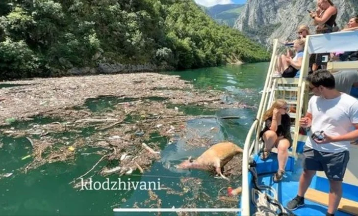 Masakër në liqenin e Komanit, perla e veriut mbulohet nga mbeturinat në mes të sezonit