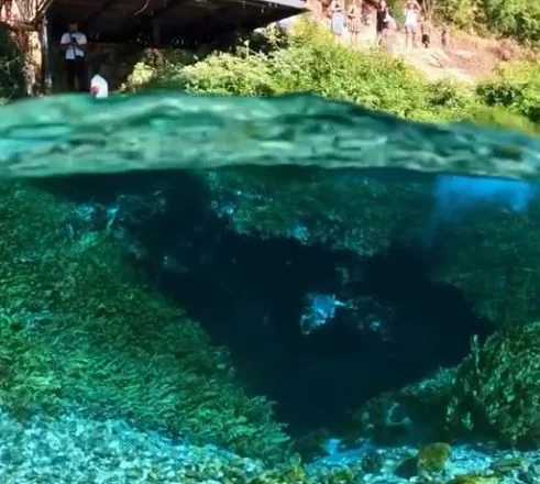 VIDEO/ Rama tregon magjinë dhe pasurinë që ofron ”Syri i Kaltër”