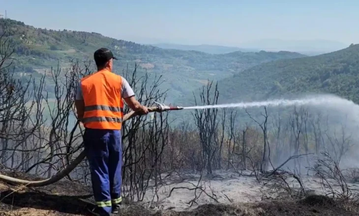 Zjarr masiv në Fier/ Flakët përfshijnë kodrat me ullishte, 6 mjete zjarrfikëse në zonë