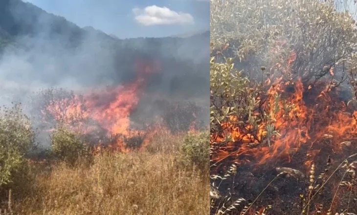 Zjarr mbi fshatin Prongji në Gjirokastër, dyshohet se është i qëllimshëm