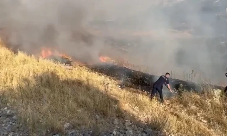 EMRI/ Zjarri në Freshtan të Gjirokastrës ku u dogjën disa hektarë kullota dhe u rrezikuan disa banesa, vihet në pranga “piromani”