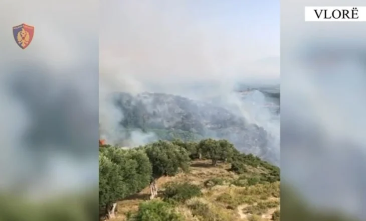 I vuri zjarrin një sipërfaqe toke me ullinj në Radhimë, pranga 36-vjeçarit