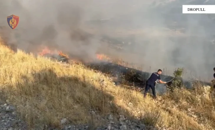 I vuri zjarrin pyjeve në fshatin Frashtan të Dropullit, policia vë në pranga autorin. Zjarrfikësit ende në luftë me flakët 