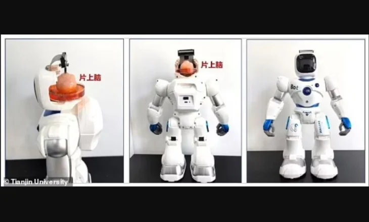 Kinezët krijojnë robotin e parë me tru njeriu