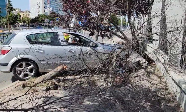 Makina del nga rruga dhe përfundon te muri rrethues i portit të Durrësit, thyen pemën dhe përplaset me shtyllën elektrike