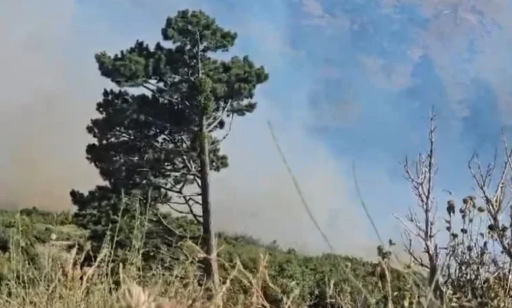 Shuhet zjarri në Dhërmi, zona poshtë Qafës së Llogarasë vijon në flakë, ndihmohet nga era e fortë