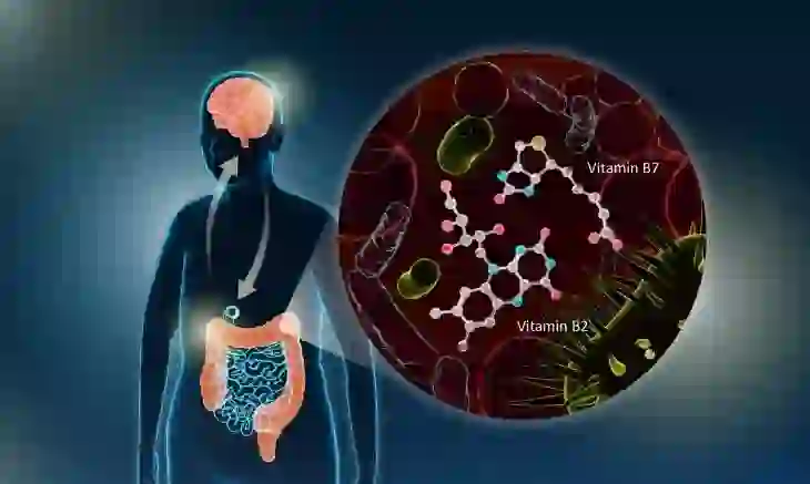 Studimi i ri lidh mungesën e vitaminës B në zorrë me sëmundjen e Parkinsonit