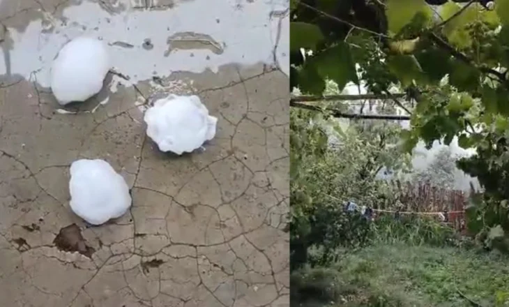 Stuhi e fortë në Elbasan/ Breshëri sa një top bejsbolli, shkatërrohen të mbjellat dhe pemtaria