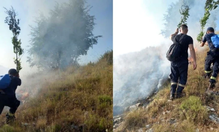 Wildfires in Gjirokastra, 36 firefighters and 50 army forces working to stop the flames