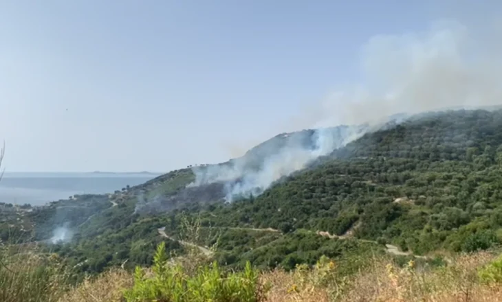 Zjarr i madh në kodrat e fshatit Radhimë, digjen ullinj dhe pemtari