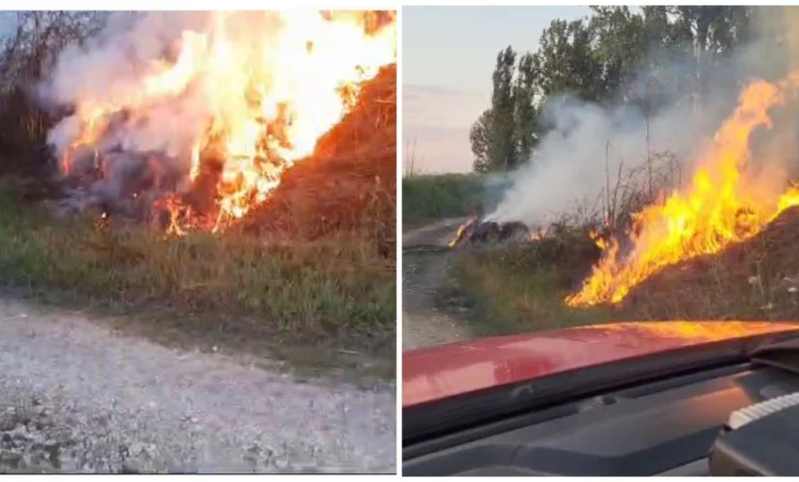 Zjarr i qëllimshëm në fshatin Ramenicë të Beratit, flakët vihen në kontroll në kohë nga forcat zjarrfikëse