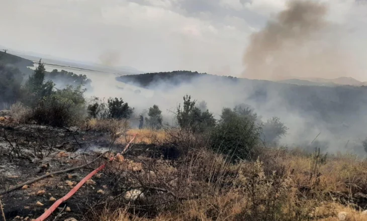 Zjarr masiv mes Ksamilit dhe Butrintit, digjen rreth 1 hektarë me ullishte