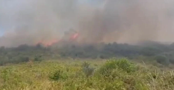 Dyshohet se është i qëllimshëm, zjarri shkrumbon dy hektarë me pemëtari në Berat