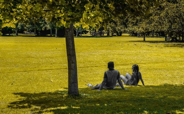 Ja pse duhet të uleni në park pas punës