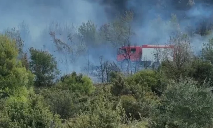 Lezhë, zjarri rrezikon qendrën e fshatit Kallmet, ndërhyn një helikopter për shuarjen e flakëve