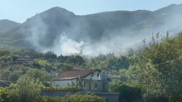 Përkeqësohet situata në Kallmet të Lezhës, zjarri afrohet drejt zonave të banuara