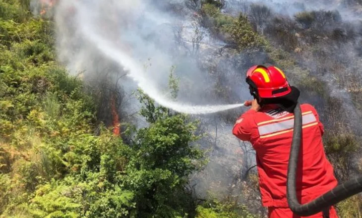 Problematike zona e Lezhës! 7 vatra aktive zjarri, në operacion 119 trupa të FA dhe helikopteri “Cougar”