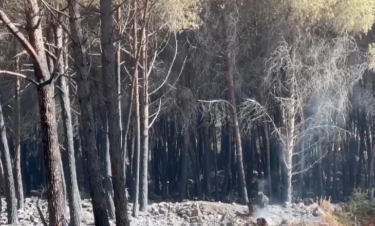 Residents and vacationers return to Shengjin after the fires that burned the coastal forests