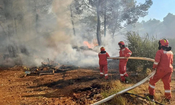 Shuhen flakët në Urën Vajgurore, zjarri përfshiu një sipërfaqe prej 20 hektarësh