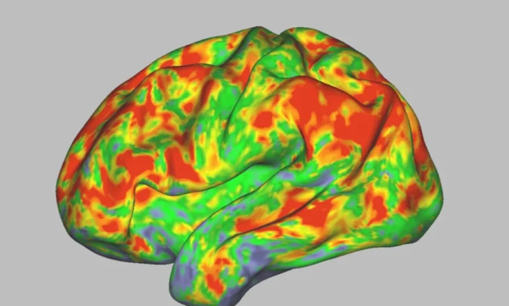 Si reagon truri juaj në psilocybin, dëshmitë e pacientëve janë një “çmenduri”