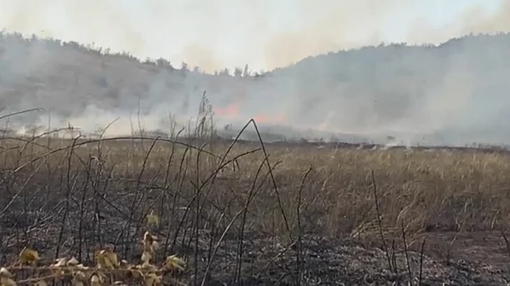 (VIDEO) Zjarr në Zadrimë të Lezhës, flakët përhapen në tokat bujqësore