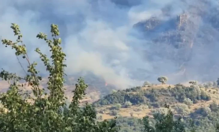 Zjarr i madh në Tepelenë, forca të shumta zjarrfikëse në terren