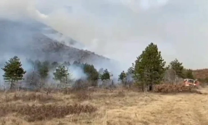 Zjarr në fshatin Osmënzezë në Berat, digjen sipërfaqe të tëra me shkurre, ullinj dhe bajame