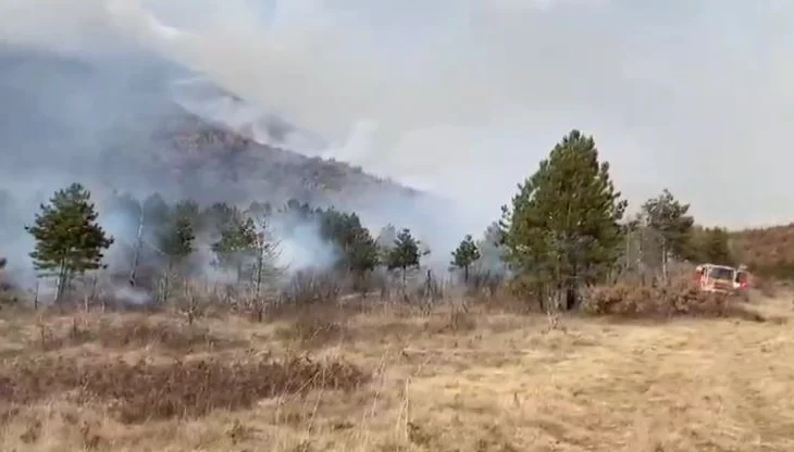 Zjarr në kodrat me bajame dhe ullinj në Berat, flakët izolohen me mjete rrethanore për shkak të terrenit të vështirë. Shmanget rreziku për banesat