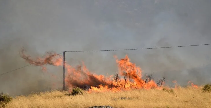 Zjarr në Lazarat, dyshohet se zjarrvënësi është pronari i tokës