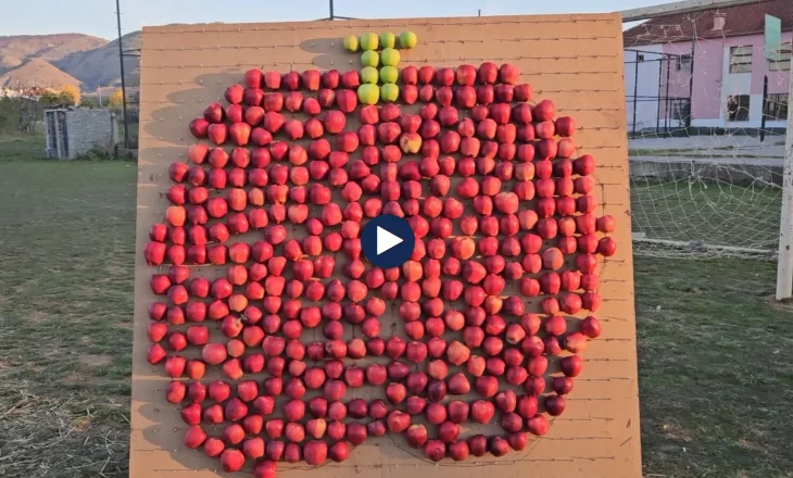 Farmers exhibit their produce at the Korça apple festival, but every year the market remains a problem