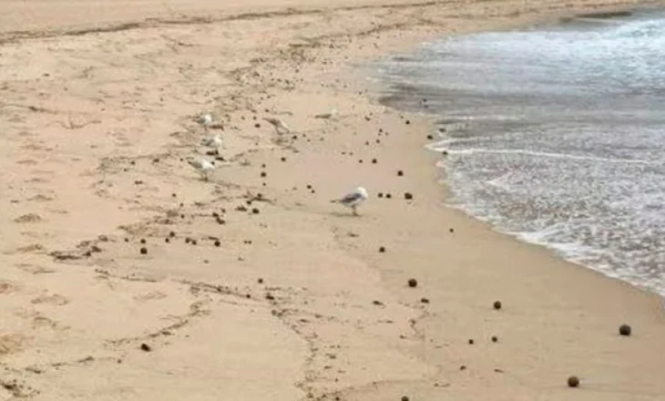 Topa të zinj dalin në brigjet australiane, mbyllen plazhet, çfarë paralajmërojnë autoritetet