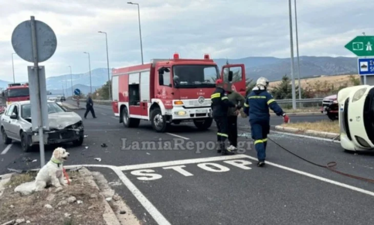 FOTO/ Burri vdes në aksident, qeni i tij del nga automjeti dhe pret të zotin