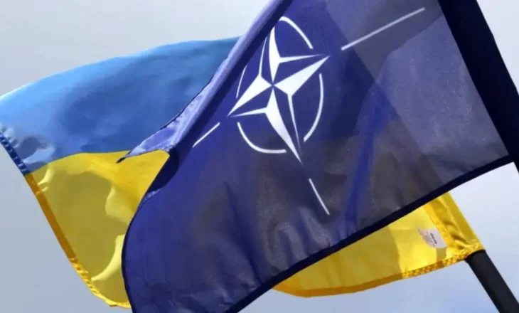 DW: Ukraina menjëherë në NATO, a është e mundur kjo?