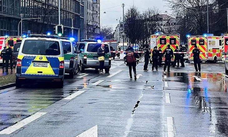 Sulm me thikë në Austri, humb jetën një 14-vjeçar