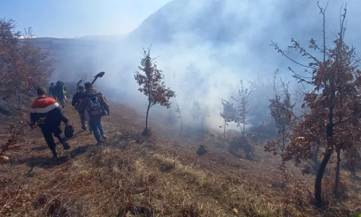 FOTO-Vatra zjarri në Pogradec, autoritetet nisin hetimet, dyshohet të qëllimshme