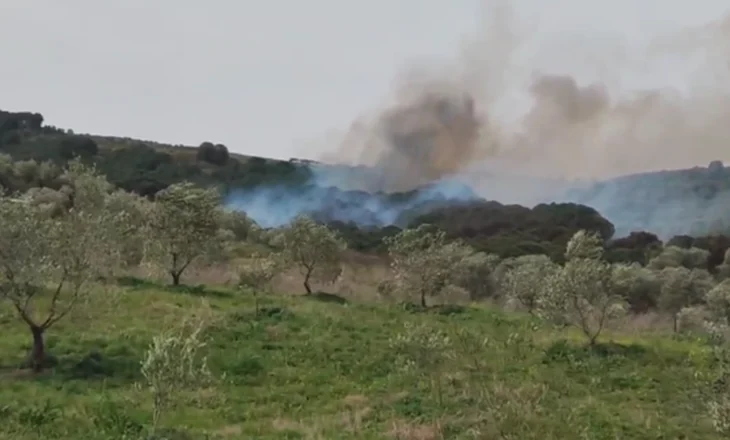 Përfshihen nga flakët kodrat e fshatit Gjorgoz në Fier, rrezikohen tokat e mbjella me ullinj