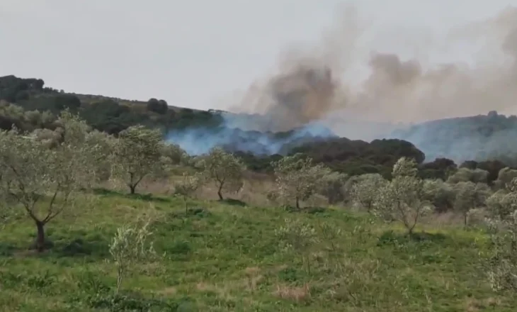 Zjarr i madh në fshatin Gjorgoz në Fier, flakët afrohen pranë tokave të mbjella me ullinj