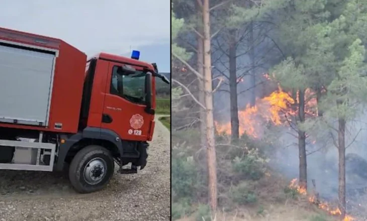 Zjarr masiv në Gjorgoz të Fierit, problem terreni i vështirë