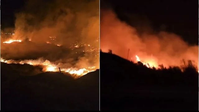 Zjarr në Vlorë, përfshihet nga flakët pylli i fshatit Tragjas