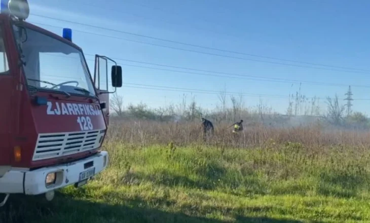 Zjarr në zonën moçalore të Rrilës në Lezhë, era e fortë vështirëson shuarjen e flakëve