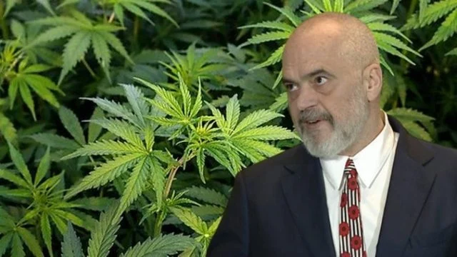Legalizimi i kanabisit/ Miratohet udhëzimi i ri: Kush përfiton e kush përjashtohet