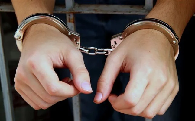 Mashtroi dhe u mori paratë qindra qytetarëve shqiptarë, arrestohet francezi në Tiranë