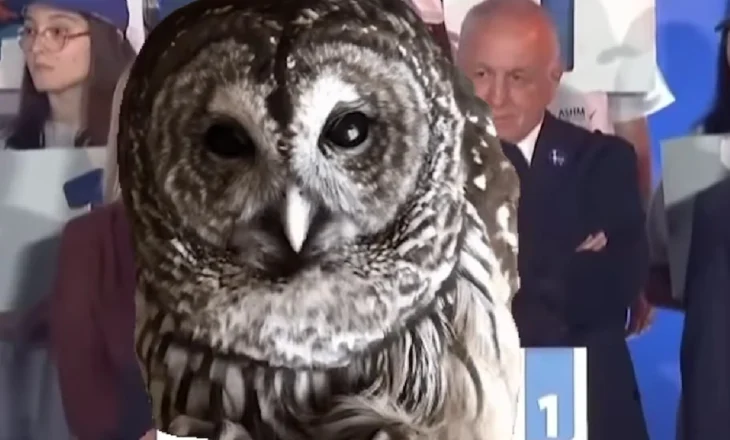 Rama ironizon sërish Berishën me videon e bufit