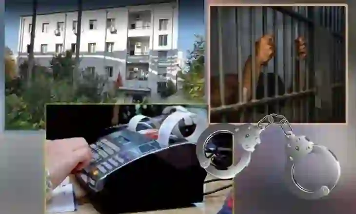3 mln euro dëm shtetit përmes mashtrimit me TVSH, ja kush është 22-vjeçari që u arrestua në Durrës