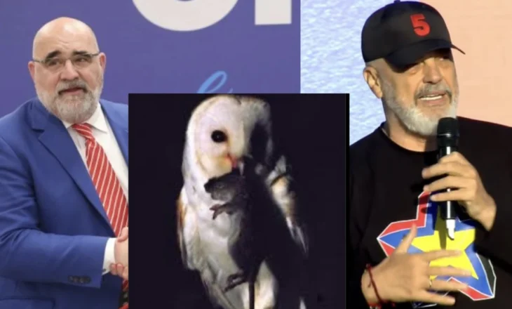 Chris LaCivita ironizon kryeministrin Rama, publikon foton e bufit duke ngrënë miun
