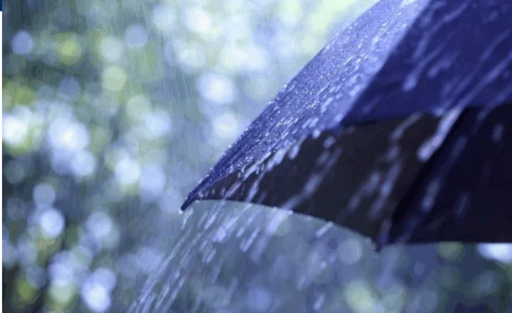 Ditë me shi dhe temperatura të ulëta, parashikimi i motit për sot