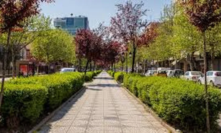 Dyshohet se po blinte vota! Ndalohet një grua në Kavajë