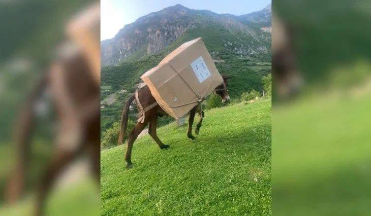 FOTOLAJM/ Shqipëria drejt Europës, fletët e votimit në Zapod të Kukësit shpërndahen me mushka